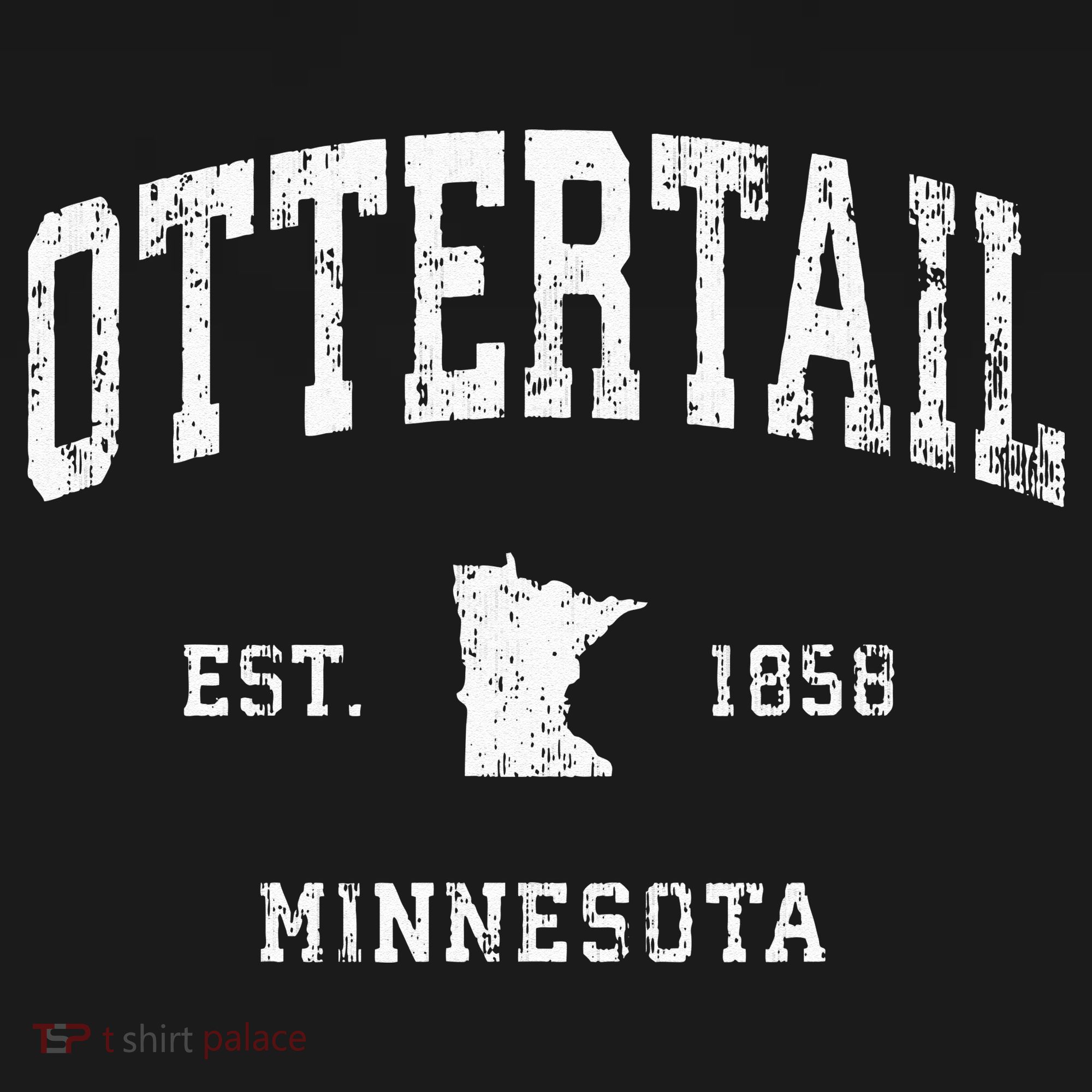 Ottertail Minnesota MN Vintage Athletic Sports T-Shirt