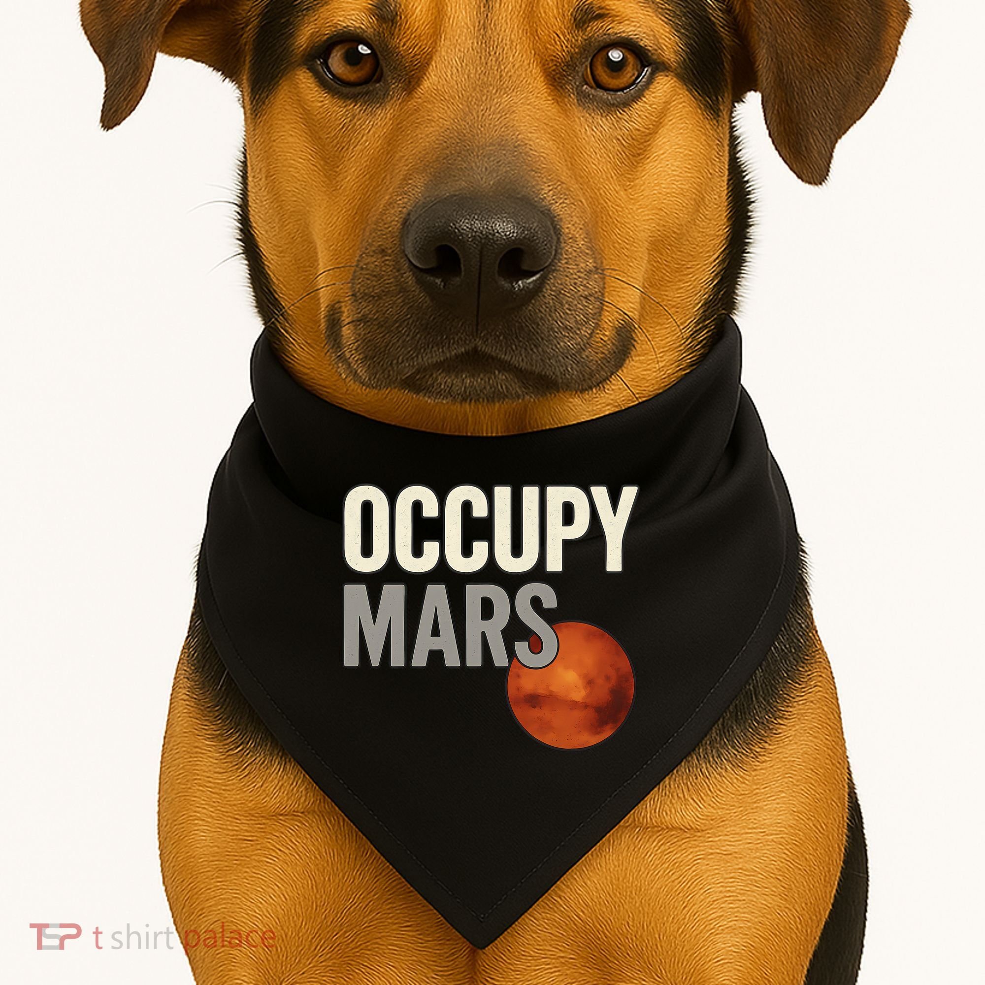 Occupy Mars USA-Made Doggie Bandana