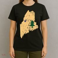 Original Maine State Flag Retro Northern New England Dirigo T-Shirt thumb 4