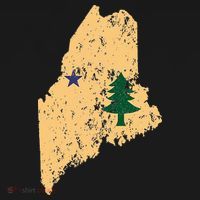 Original Maine State Flag Retro Northern New England Dirigo Women's Hoodie thumb 2