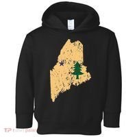 Original Maine State Flag Retro Northern New England Dirigo Toddler Hoodie thumb 0