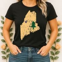 Original Maine State Flag Retro Northern New England Dirigo Women's T-Shirt thumb 2