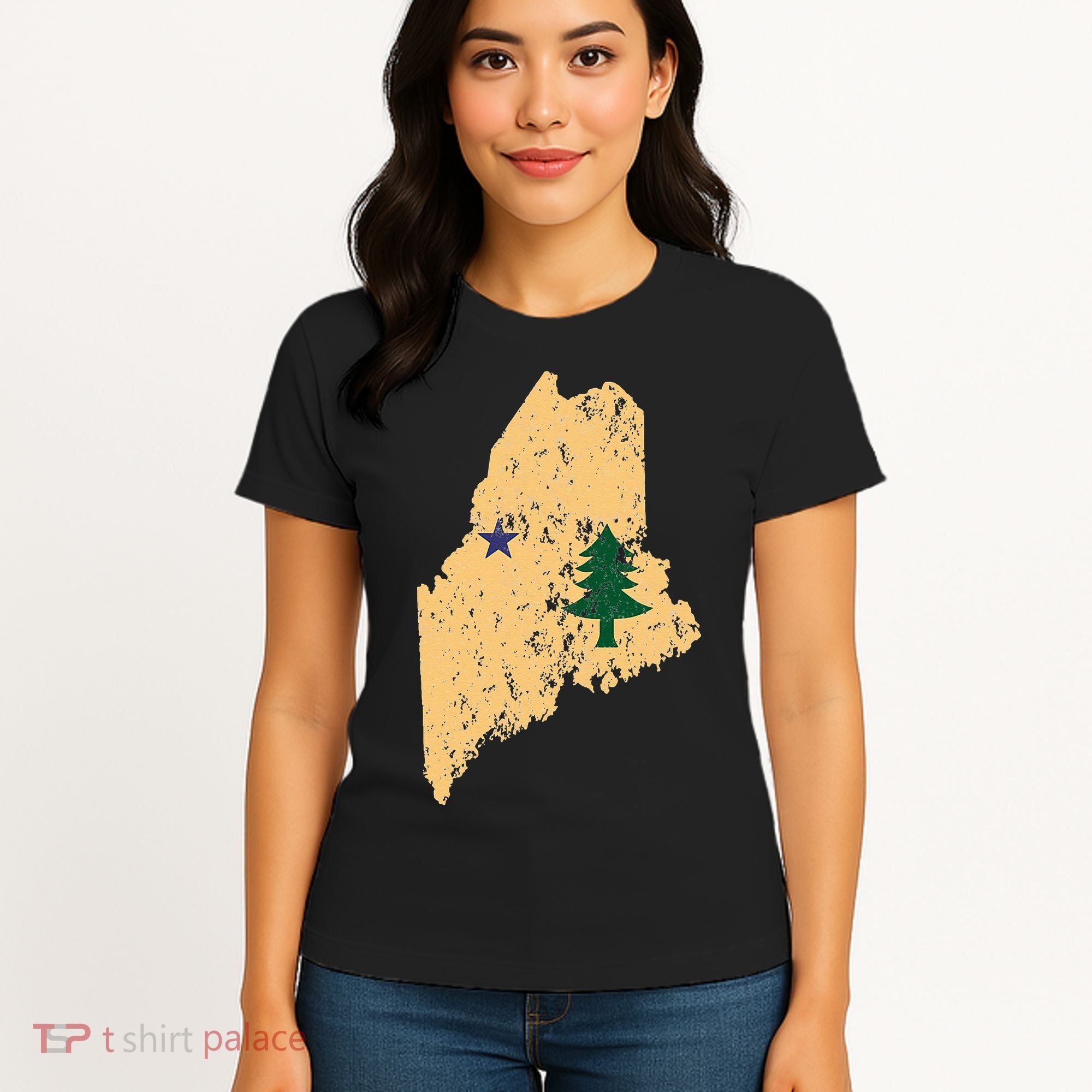 Original Maine State Flag Retro Northern New England Dirigo Women's T-Shirt