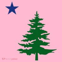 Old Maine State Flag 1901 Pine Tree Star Coaster thumb 2