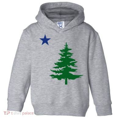 Old Maine State Flag 1901 Pine Tree Star Toddler Hoodie