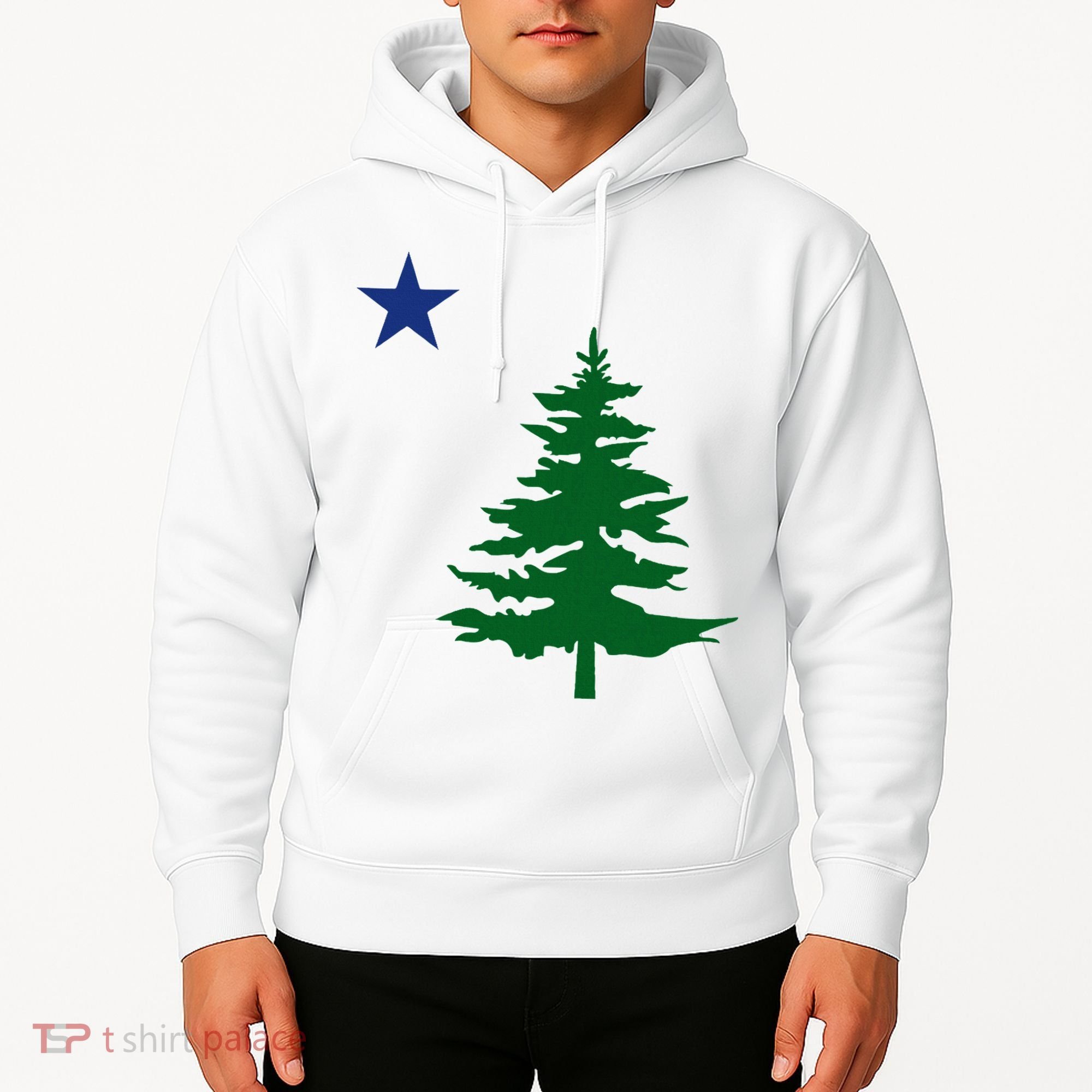 Old Maine State Flag 1901 Pine Tree Star Hoodie