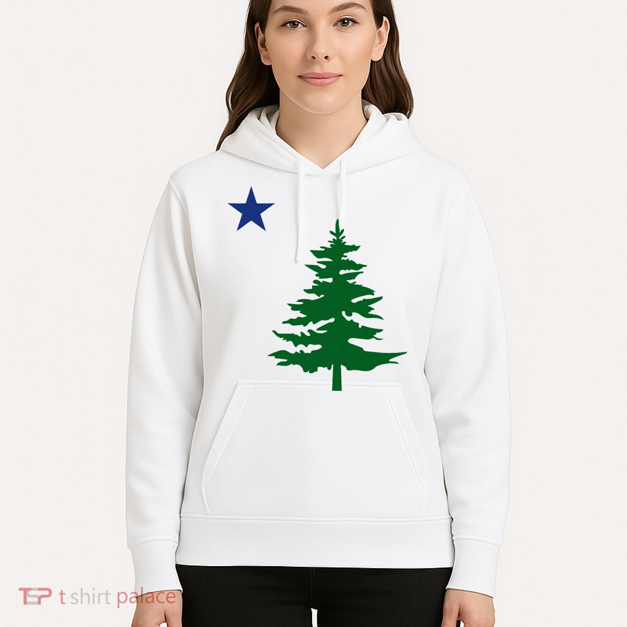 Old Maine State Flag 1901 Pine Tree Star Hoodie