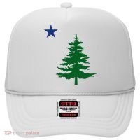 Old Maine State Flag 1901 Pine Tree Star Hat thumb 0