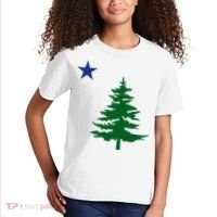 Old Maine State Flag 1901 Pine Tree Star Kids T-Shirt thumb 2