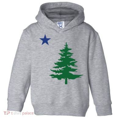 Old Maine State Flag 1901 Pine Tree Star Toddler Hoodie