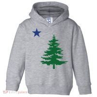 Old Maine State Flag 1901 Pine Tree Star Toddler Hoodie thumb 0