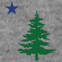 Old Maine State Flag 1901 Pine Tree Star Toddler Hoodie thumb 2