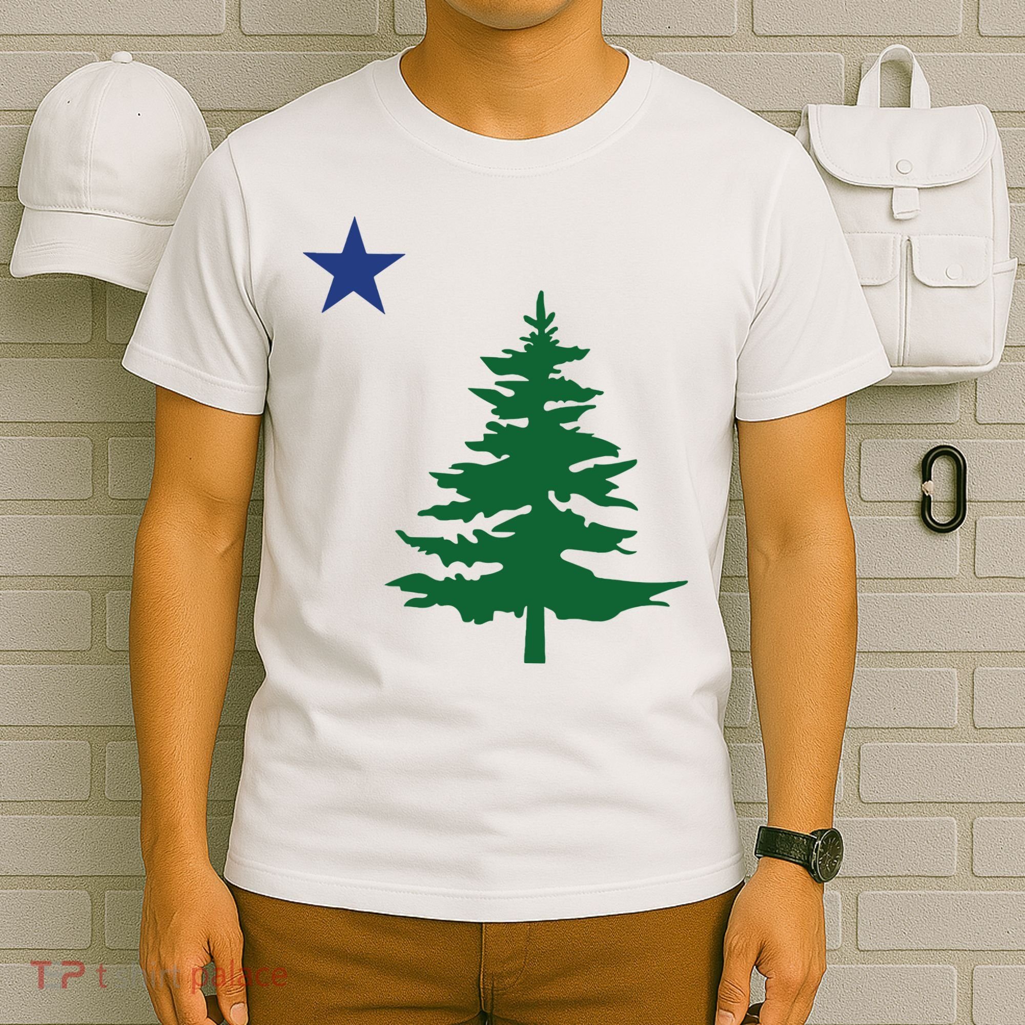 Old Maine State Flag 1901 Pine Tree Star T-Shirt