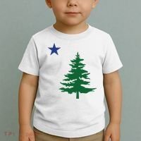 Old Maine State Flag 1901 Pine Tree Star Toddler T-Shirt thumb 2