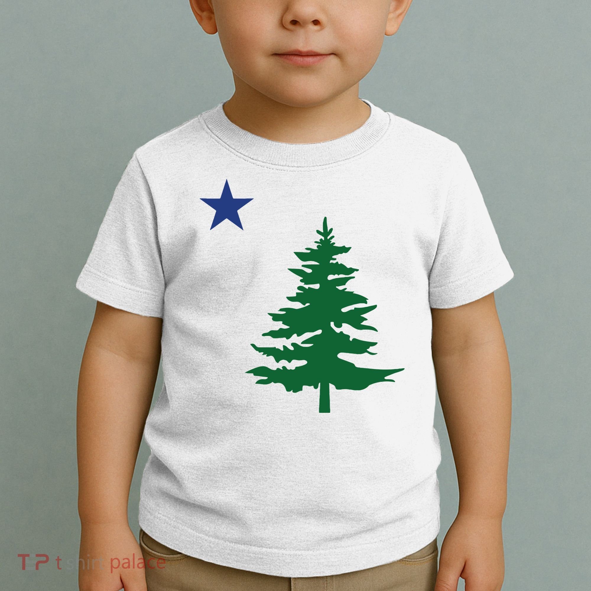 Old Maine State Flag 1901 Pine Tree Star Toddler T-Shirt