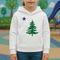Old Maine State Flag 1901 Pine Tree Star Kids Hoodie thumb 3