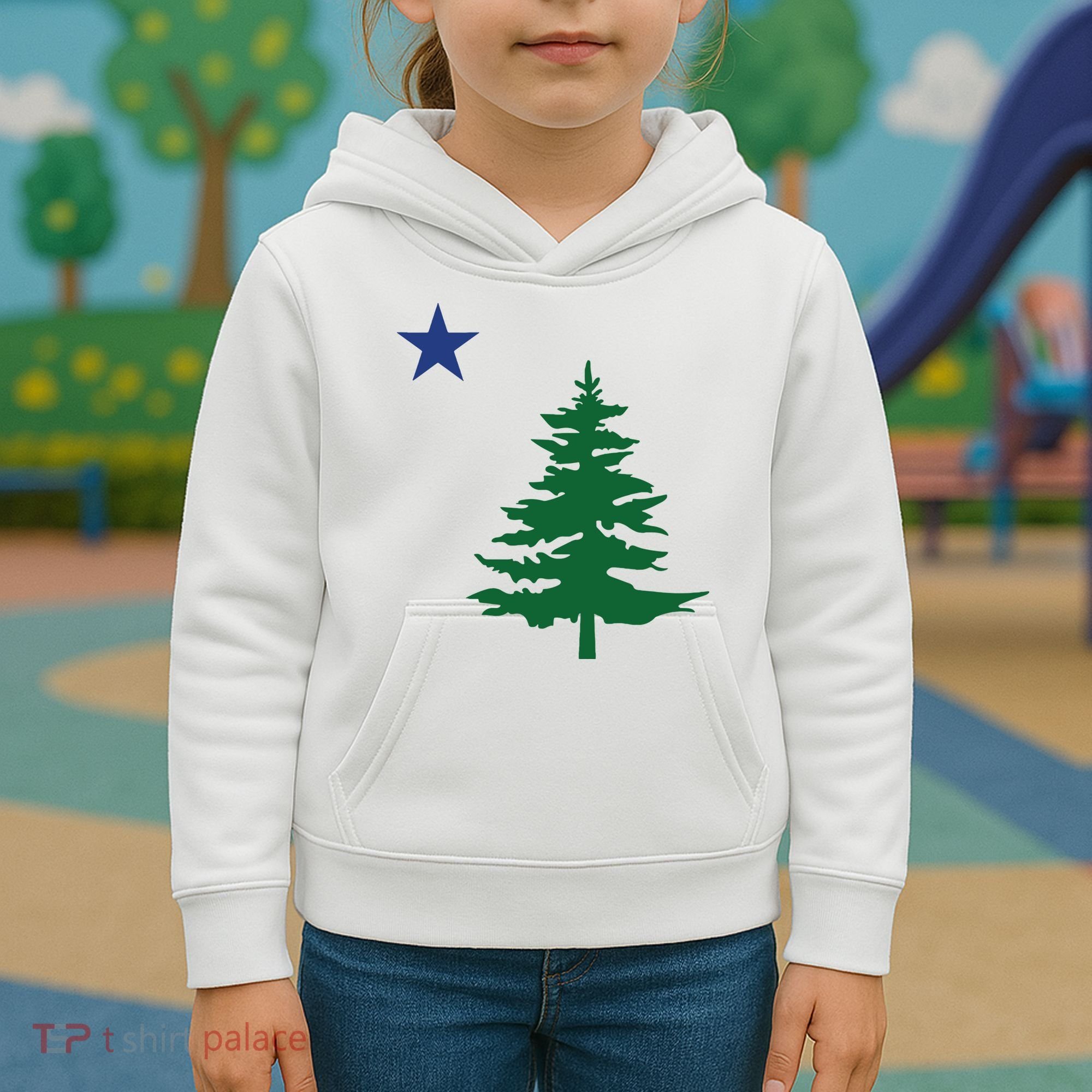 Old Maine State Flag 1901 Pine Tree Star Kids Hoodie