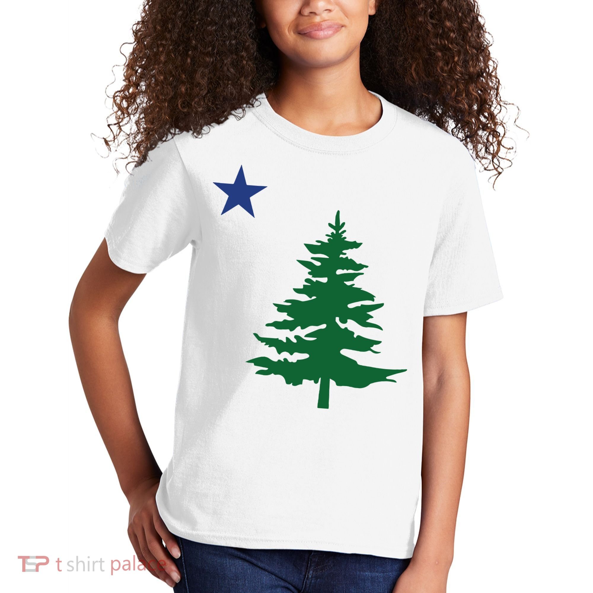 Old Maine State Flag 1901 Pine Tree Star Kids T-Shirt