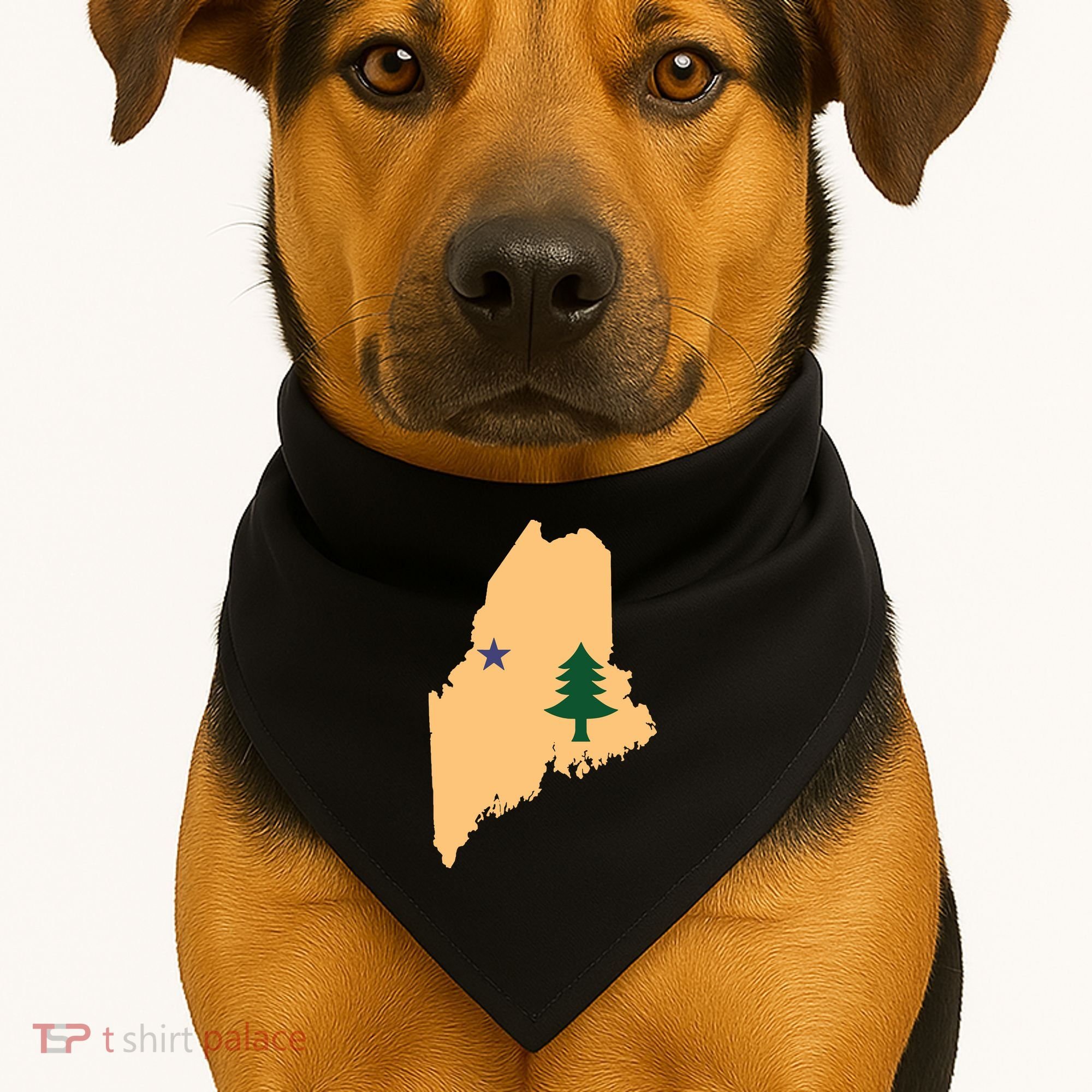 Original Maine State Flag Gift Northern New England Dirigo USA-Made Doggie Bandana