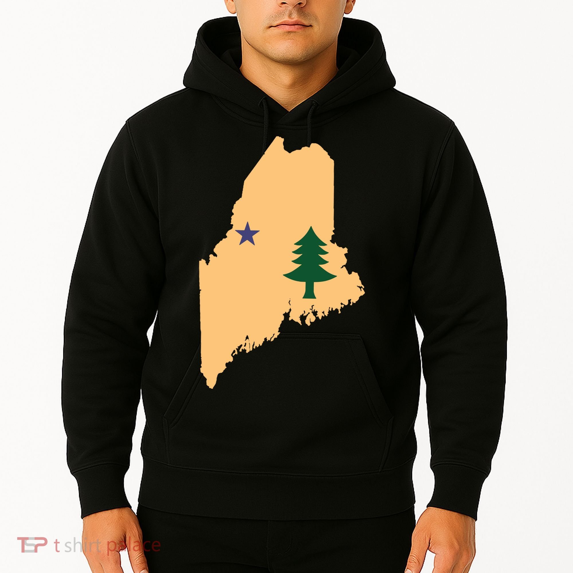 Original Maine State Flag Gift Northern New England Dirigo Hoodie