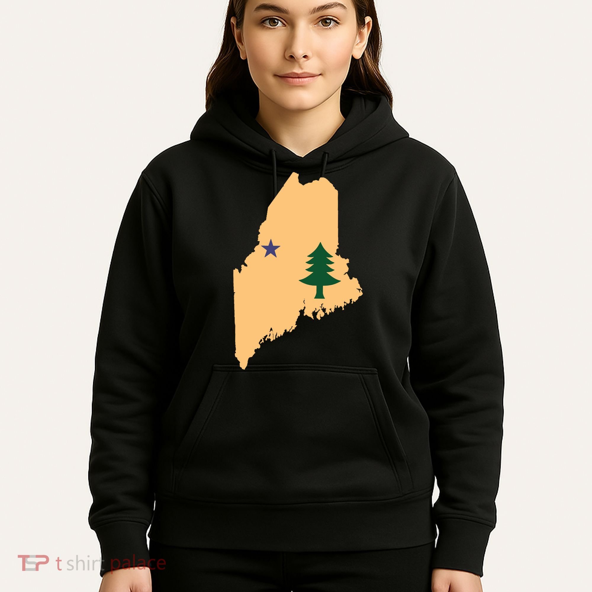 Original Maine State Flag Gift Northern New England Dirigo Hoodie
