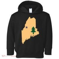 Original Maine State Flag Gift Northern New England Dirigo Toddler Hoodie thumb 0
