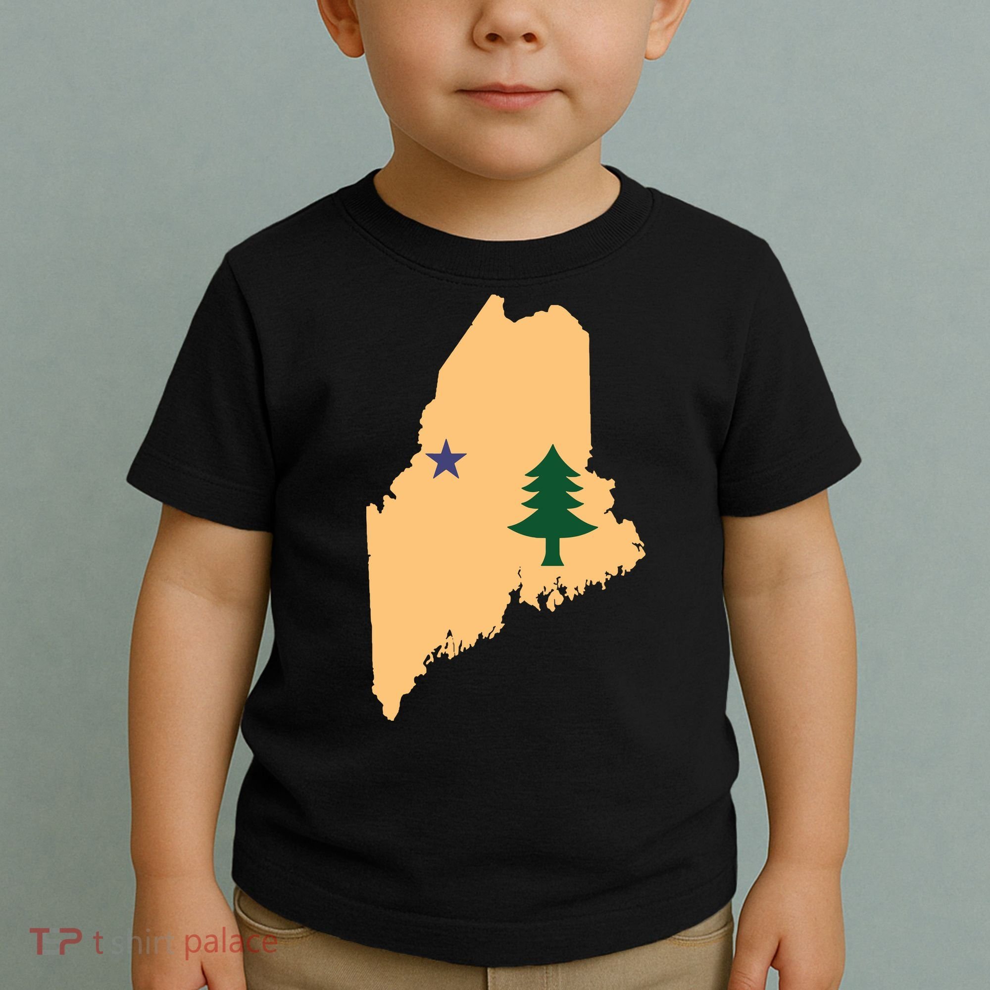 Original Maine State Flag Gift Northern New England Dirigo Toddler T-Shirt