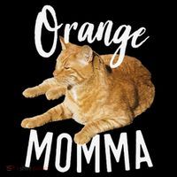 Orange Momma Tabby Lover Funny Saying Graphic Coffee Mug thumb 5