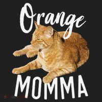 Orange Momma Tabby Lover Funny Saying Graphic Beanie thumb 2