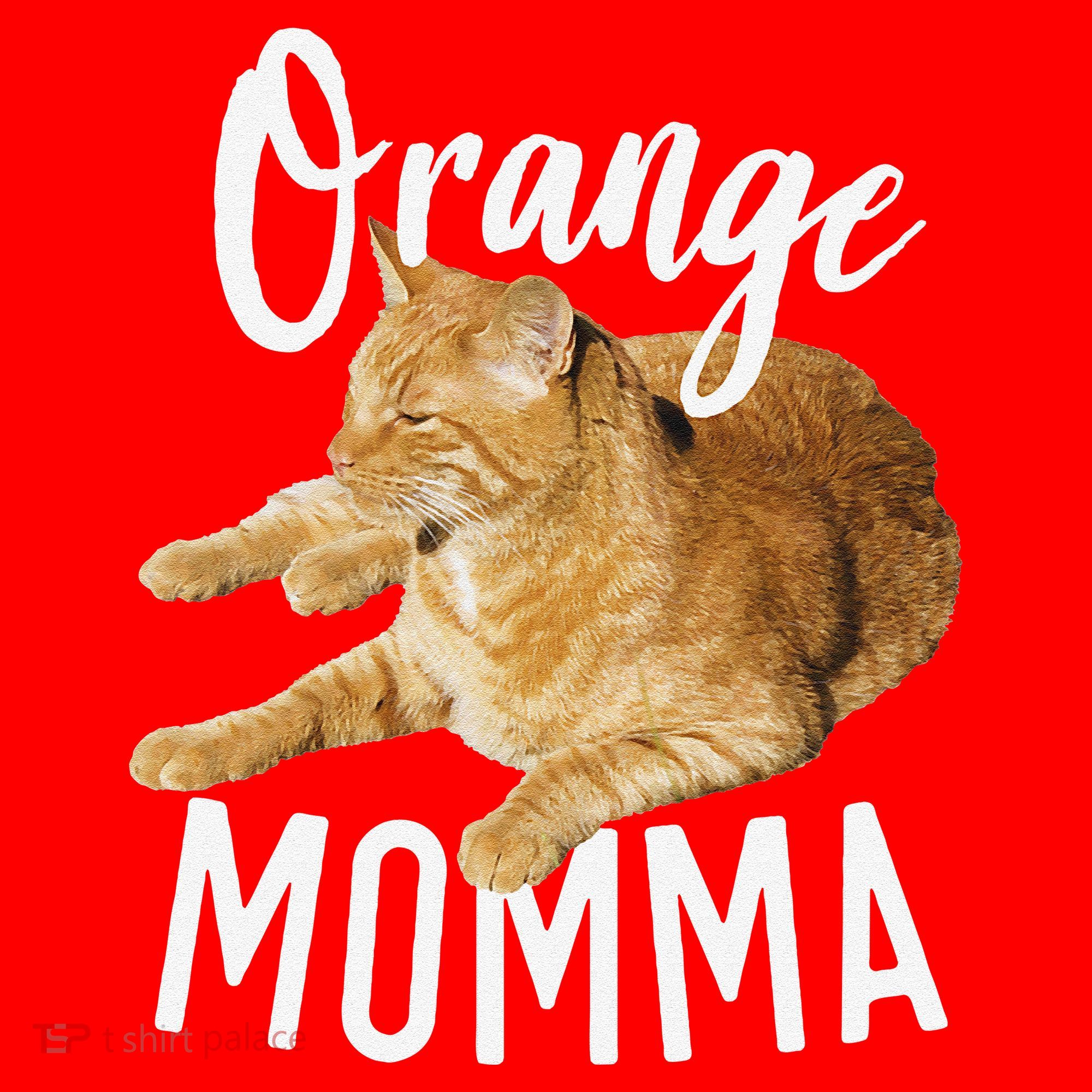 Orange Momma Tabby Lover Funny Saying Graphic Santa Hat
