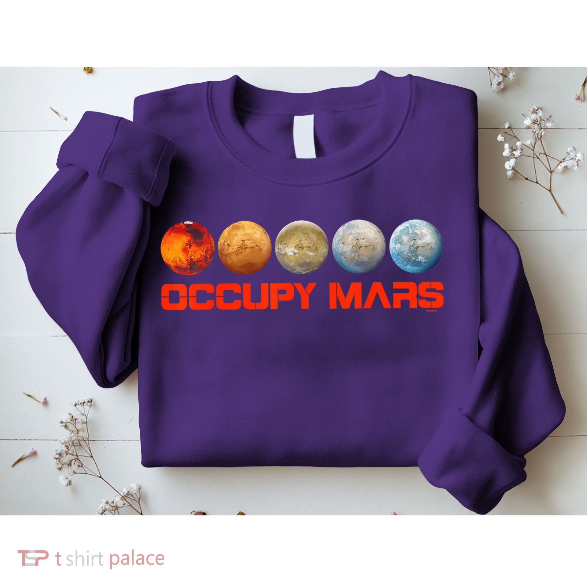 Occupy Mars Terraform Sweatshirt