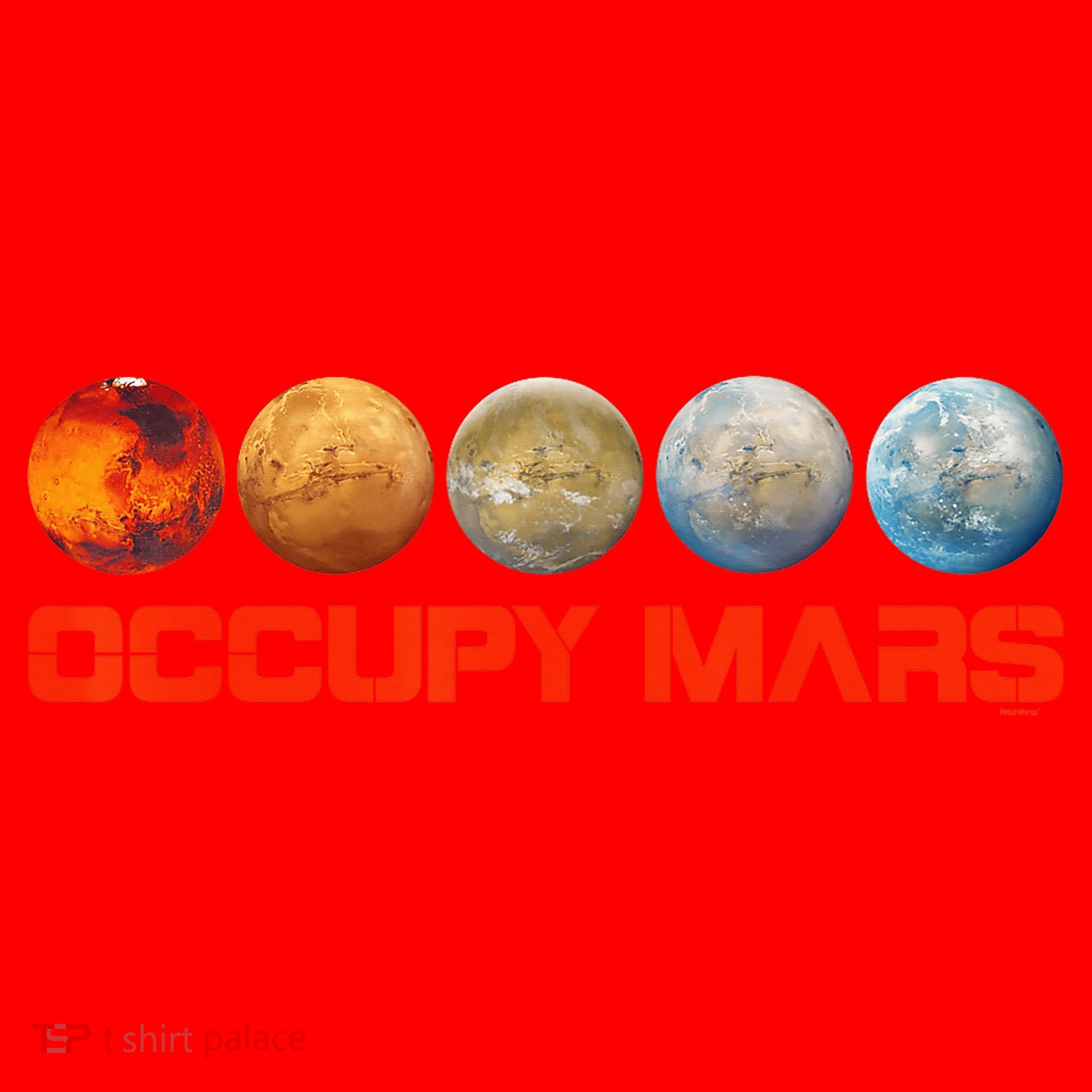 Occupy Mars Terraform Santa Hat