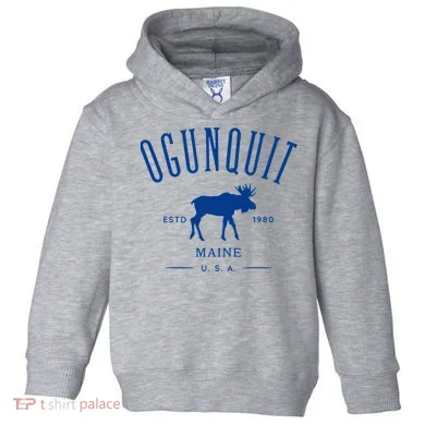 Toddler Hoodie
