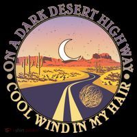 On A Dark Desert Highway Cool Wind In My Hair Ornament thumb 1