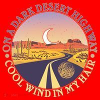 On A Dark Desert Highway Cool Wind In My Hair Santa Hat thumb 1