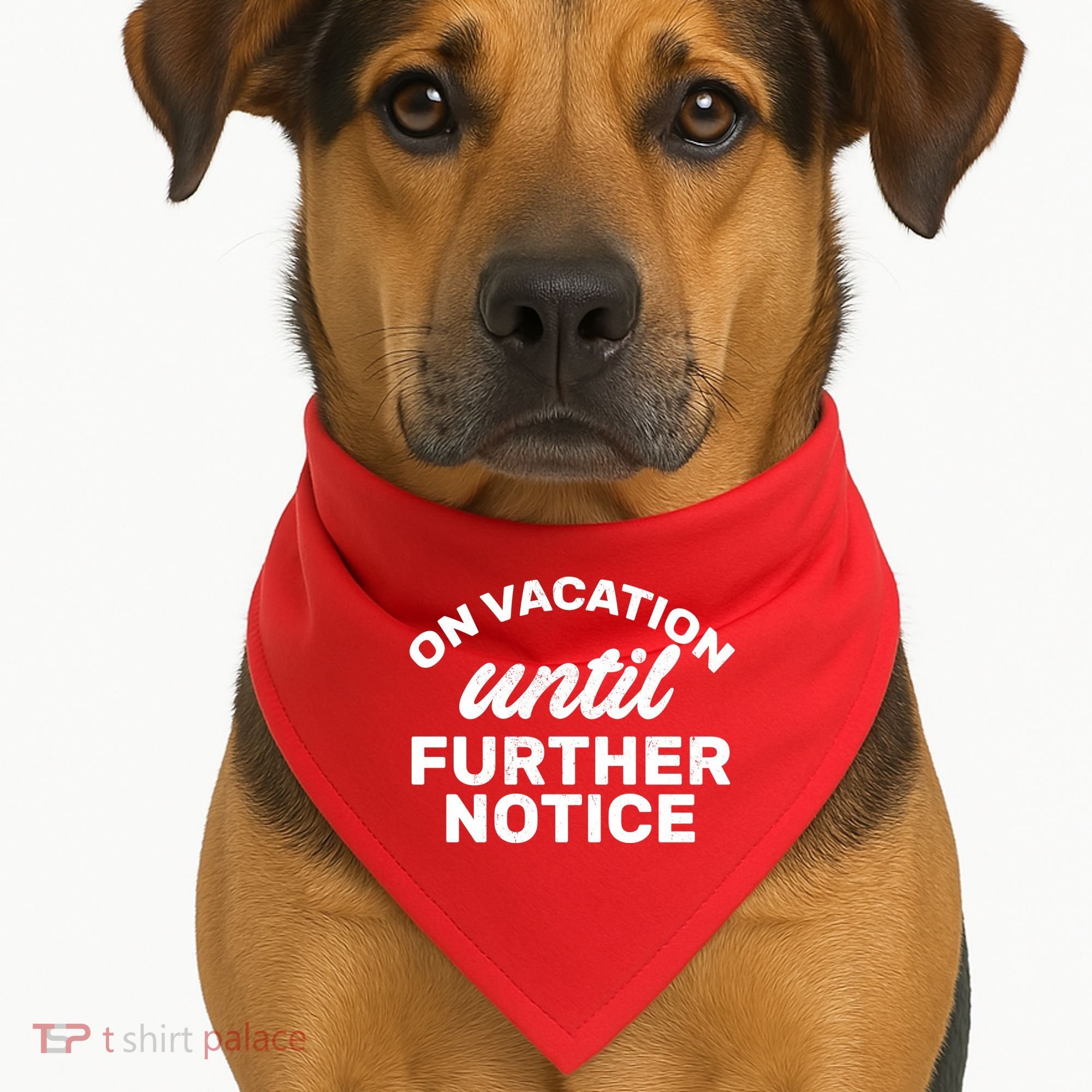 On Vacation Until Further Notice USA-Made Doggie Bandana