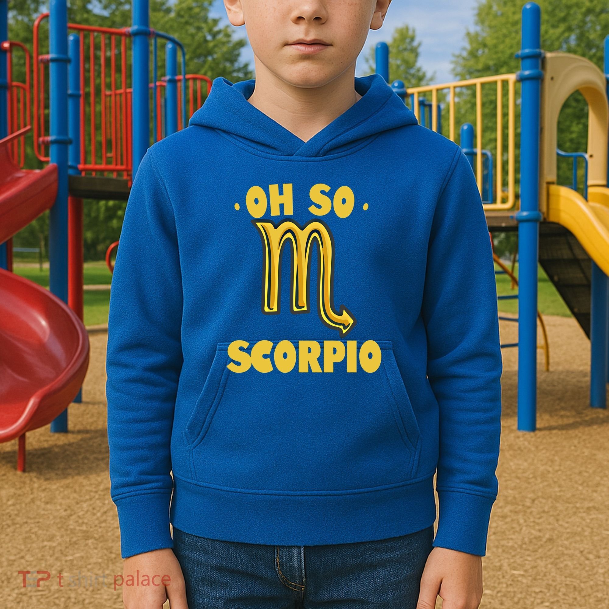 October November Birthday Scorpio Astrology Horoscope Great Gift Kids Hoodie