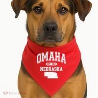 Omaha Nebraska Est 1854 Varsity USA-Made Doggie Bandana thumb 1