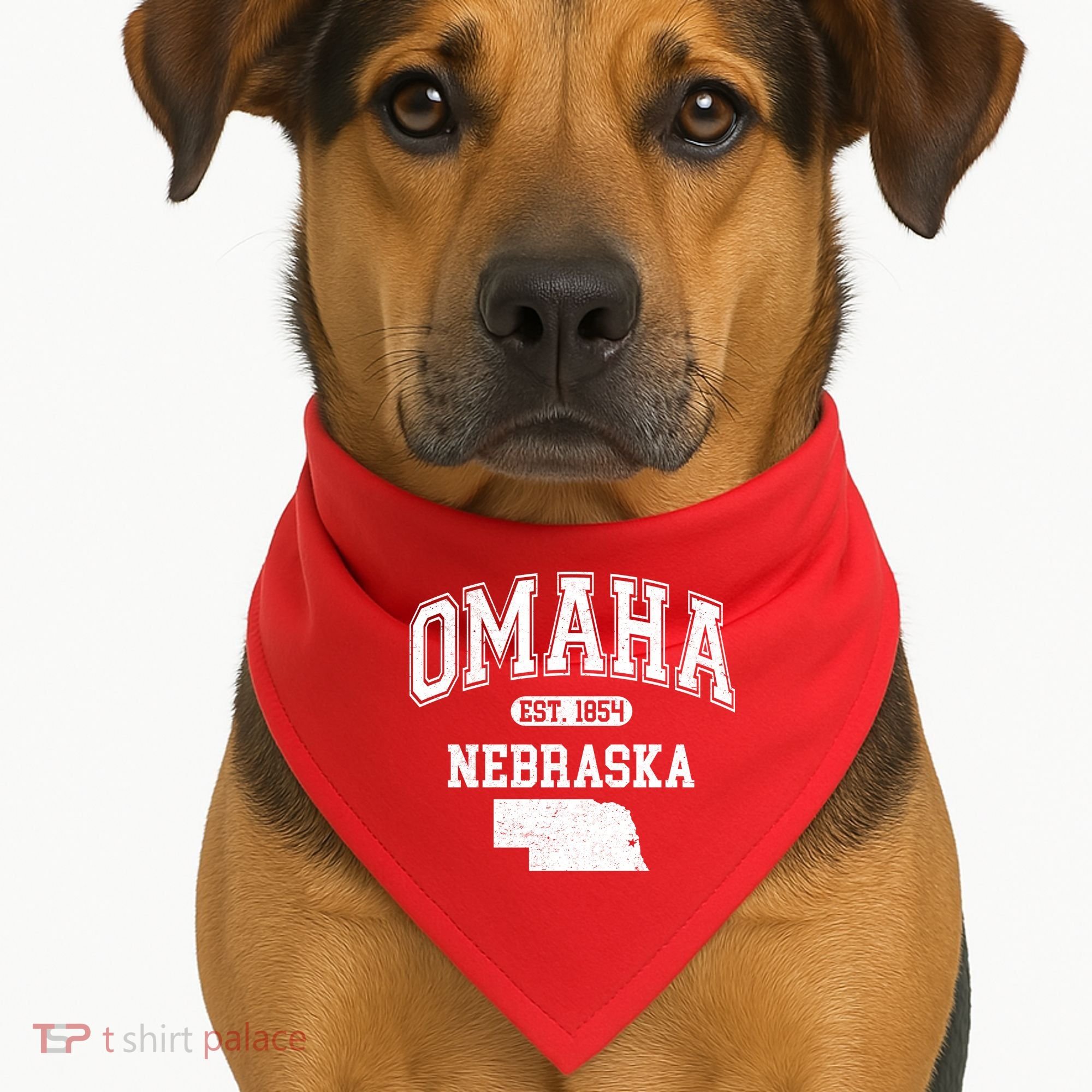 Omaha Nebraska Est 1854 Varsity USA-Made Doggie Bandana