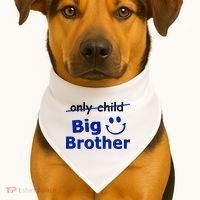 Only Child Big Brother USA-Made Doggie Bandana thumb 1