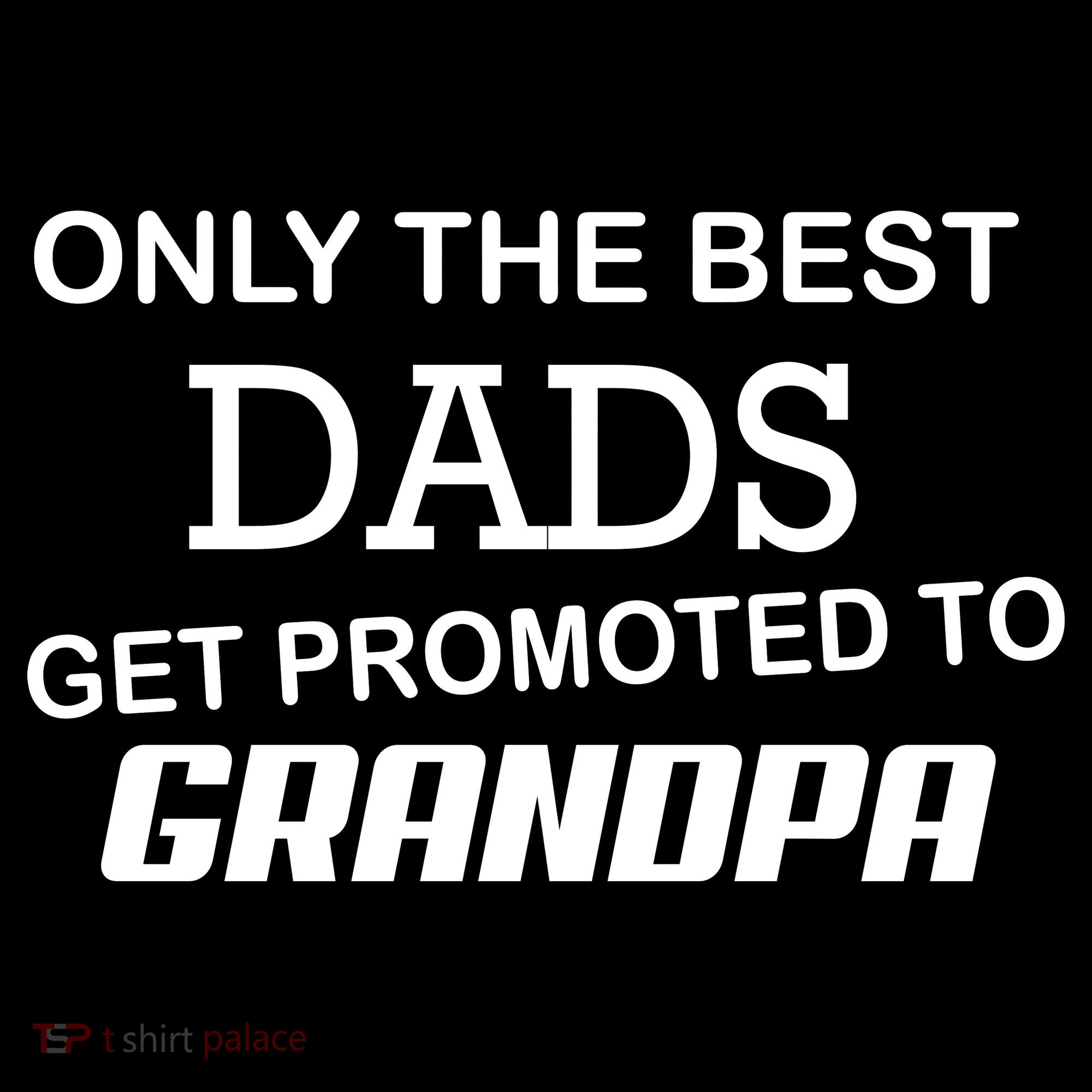 Only The Best Dads Could Get Promoted To Grandpas Women's Hoodie