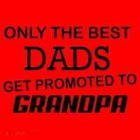 Only The Best Dads Could Get Promoted To Grandpas Santa Hat thumb 1