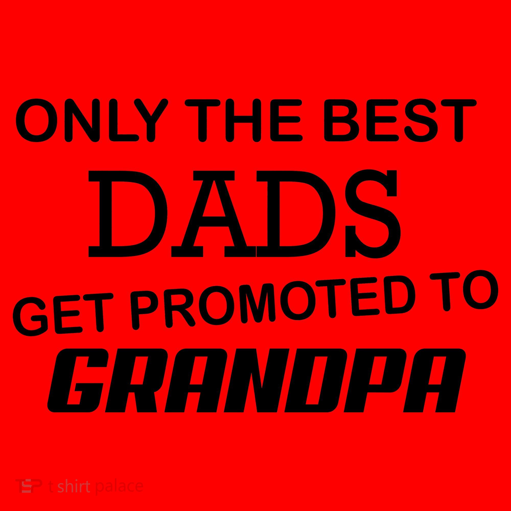 Only The Best Dads Could Get Promoted To Grandpas Santa Hat