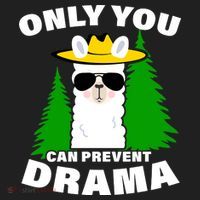 Only You Can Prevent Drama Women's Sweatshirt thumb 2