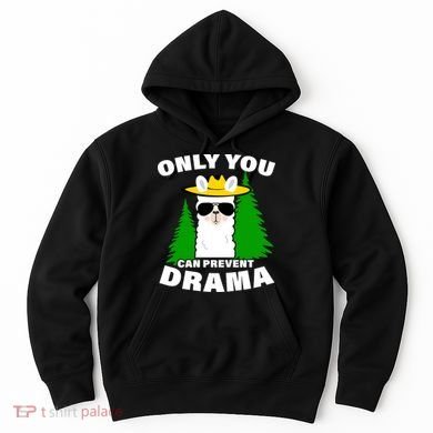 Only You Can Prevent Drama Hoodie