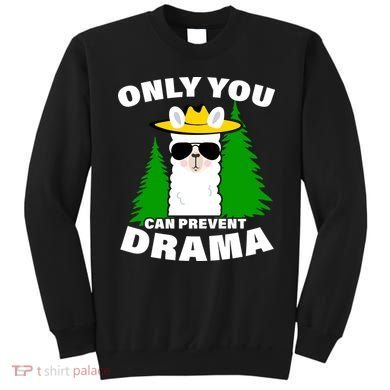 Only You Can Prevent Drama Sweatshirt