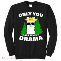 Only You Can Prevent Drama Sweatshirt thumb 0