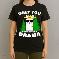 Only You Can Prevent Drama T-Shirt thumb 4