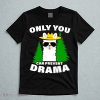 Only You Can Prevent Drama T-Shirt thumb 5