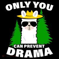 Only You Can Prevent Drama Women's Long Sleeve Shirt thumb 2